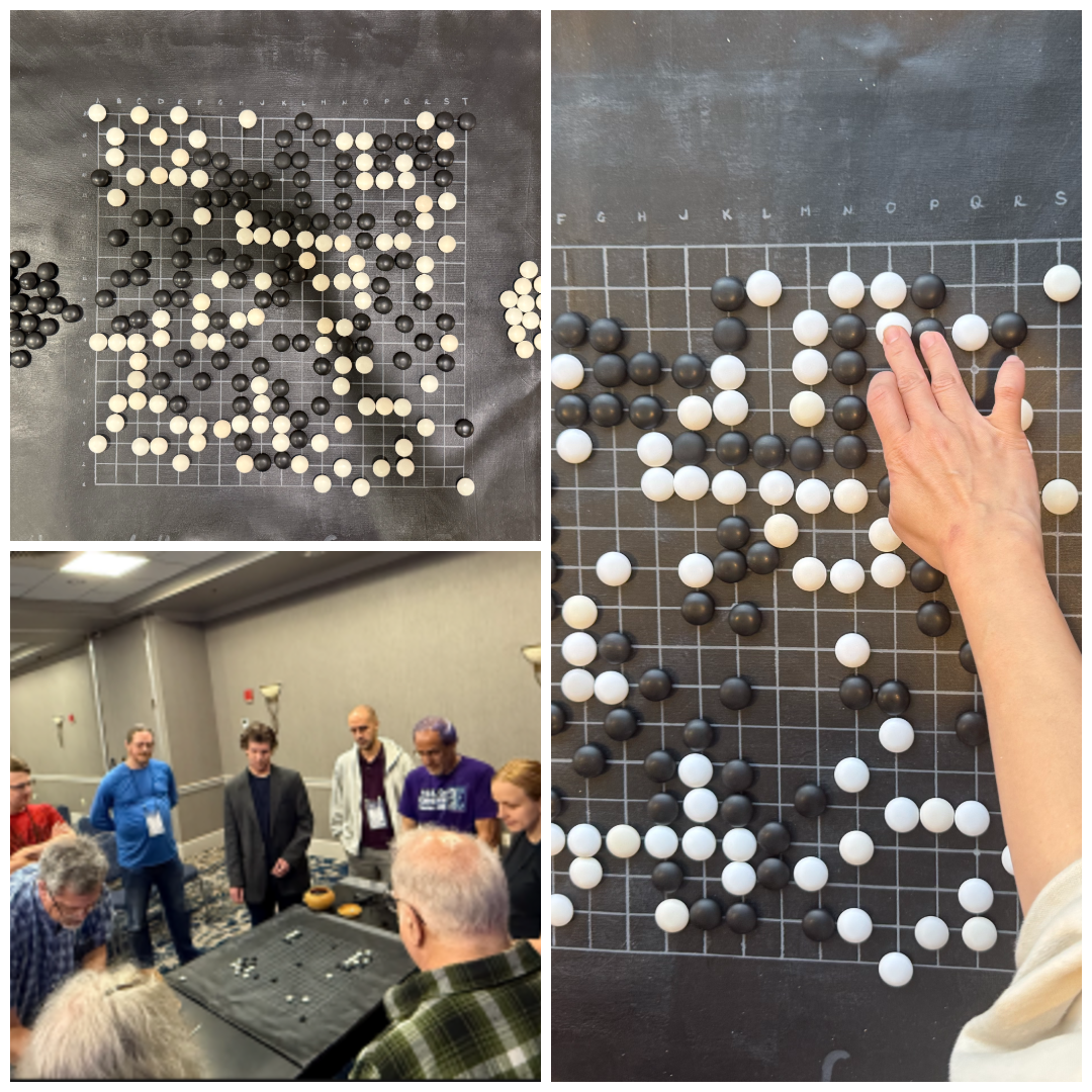 189 Moves in a Congress-Wide Zen Go